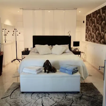 Elegant-cosy 2p55m2 Dans Bas De Provencale ! Appartement Villeneuve-Loubet